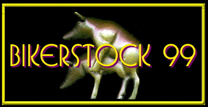 Bikerstock 99